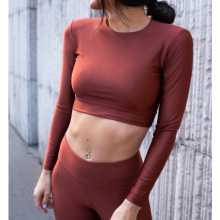 Bronze Long Sleeve Crop Top